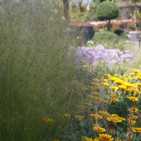 Les Jardins De Santa Giulia - Charmante D'hote 2* Porto-Vecchio (Corsica)