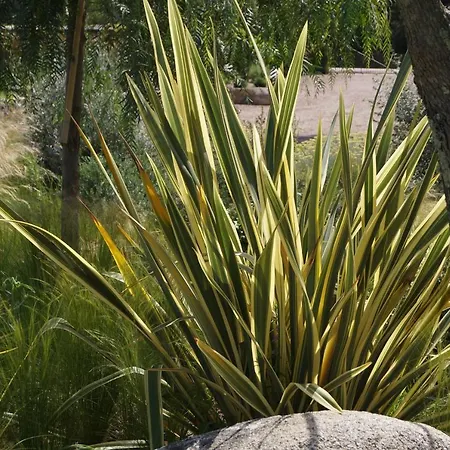 Les Jardins De Santa Giulia - Charmante D'hote 2* Porto-Vecchio (Corsica)
