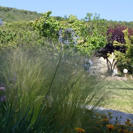 Les Jardins De Santa Giulia - Charmante Dhte Affittacamere