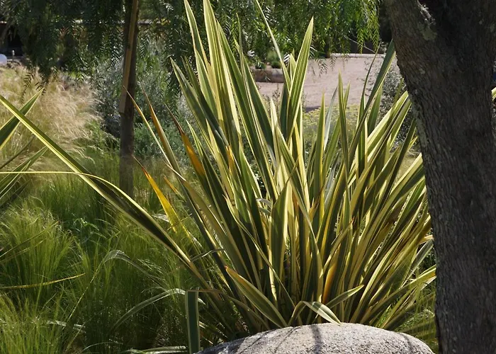 Les Jardins De Santa Giulia - Charmante Dhte 3* Porto-Vecchio (Corsica)