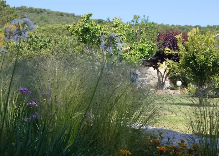 Les Jardins De Santa Giulia - Charmante Dhte Gæstehus